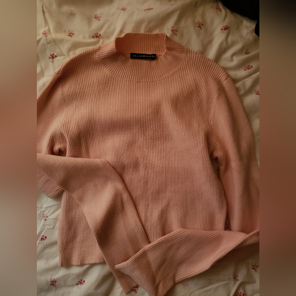 Brandy melville cropped long sleeve